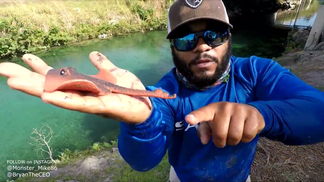 DIY SODA BOTTLE FISH TRAP with GoPro - video Dailymotion