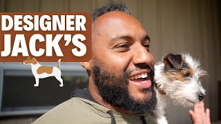 'Designer' Jack Russell Terriers!?!?!?!