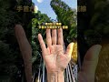 ご先祖様の加護で、晩年に、通帳の桁が勝手に増える人の手相5選今この動画にたどり着いたのは、神様があなたを選んだ証拠です。#手相 #手相占い #スピリチュアル #開運 #ご先祖様