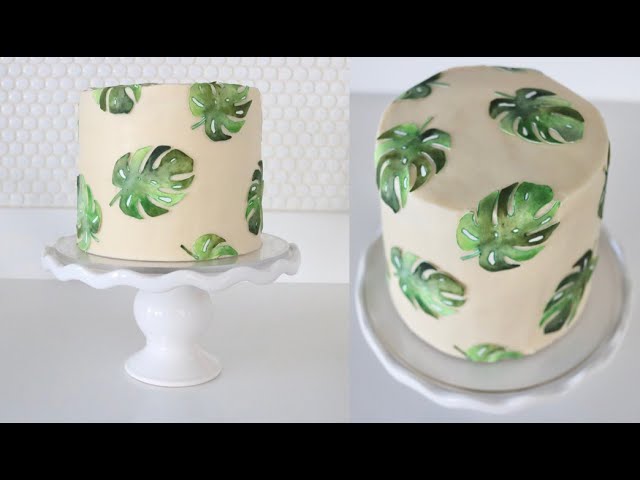 monstera verbrannt Monstera Deliciosa Variegata – Foliage Dreams main image 1