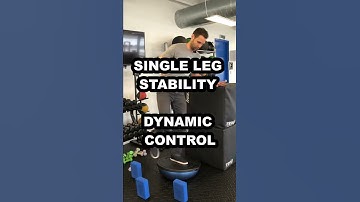 Single Leg Stability with Dynamic Control
