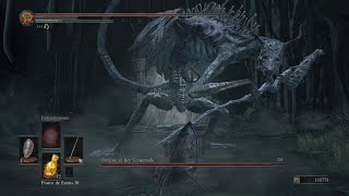 Quien Es Ocelotte?? Oceiros, El Rey Consumido Ng Dark Souls 3