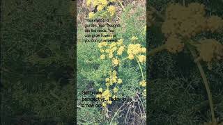 "Keep taking time for yourself until you're you, again." -Lalah DeLia♡ Love&Light🌼✨️🕊