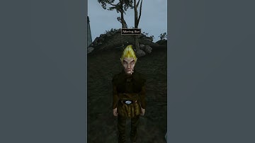 Killing the adoring fan in Morrowind every day until Skywind and Skyblivion are released Day - 1003