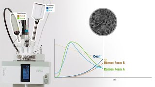 Raman Spectroscopy: Polymorph Analysis and Monitoring Polymorphic Transitions