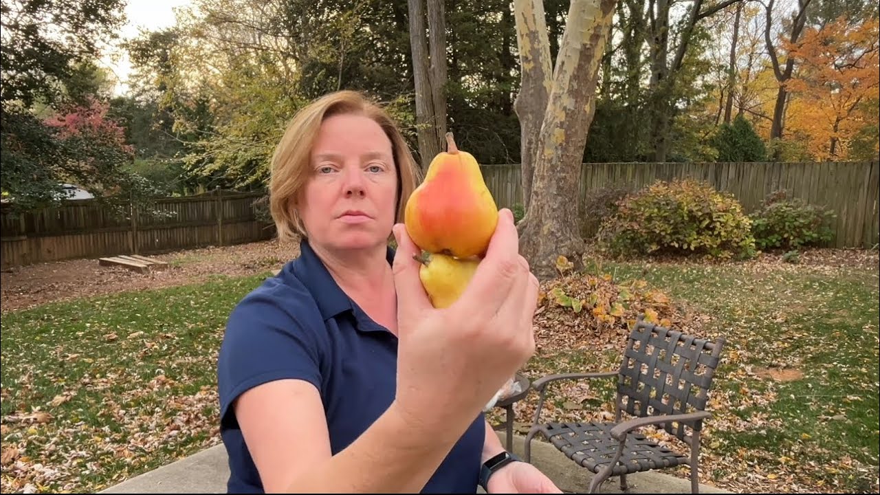 Hungry Harvest - Early November 2025, I didn't have eggs