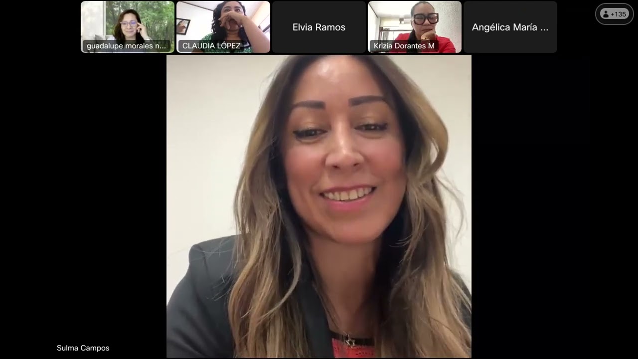 Guía práctica Violencia Política. 23 de Febrero 2024