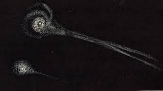 Lost comet | Wikipedia audio article
