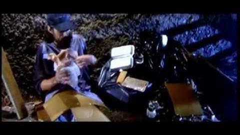 Sonia Dersion - Kimbé