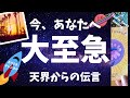 【大至急】今、大至急伝えたい!天界からあなたへの伝言🌈オラクルカードリーディング🦋ホリミホ🦋