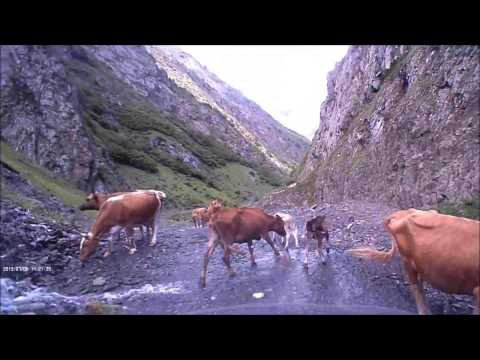 დათვიჯვარი - შატილი