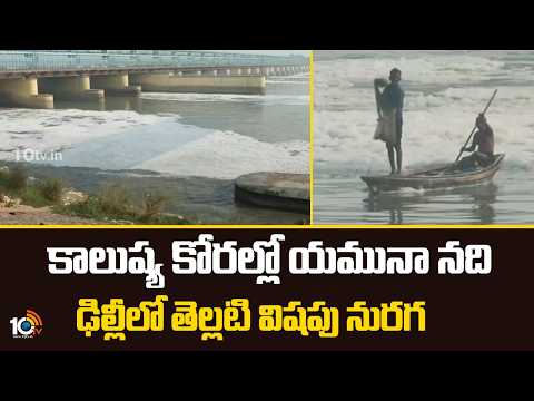 కాలుష్య కోరల్లో యమునా నది - ఢిల్లీలో తెల్లటి విషపు నురగ | Yamuna river polluted | 10tv