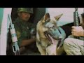The Bond Between Soldiers and Dogs of War