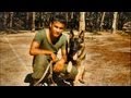 Roles of Animals in War