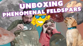 MOONSTONE, LABRADORITE & MORE | UNBOXING THE PHENOMENAL FELDSPARS