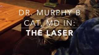 Dr Murphy B Cat, Md In The Laser Beam