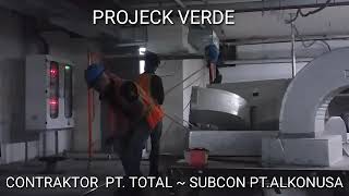 Wering Peping Pipa Galvanis