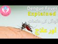 Dengue Fever Explained | ڈینگی کی علامات اور اسکا علاج