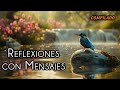 Transforma tu da con estas 10 reflexiones profundas motivacin y espiritualidad.