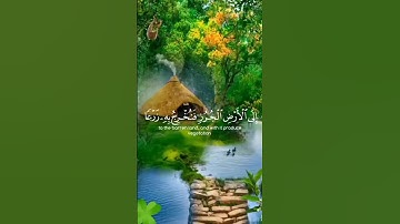 ﴿ أولم يروا أنا نسوق الماء ﴾ تلاوة خاشعة بصوت جميل . #quran #سبحان_الله #الحمدلله