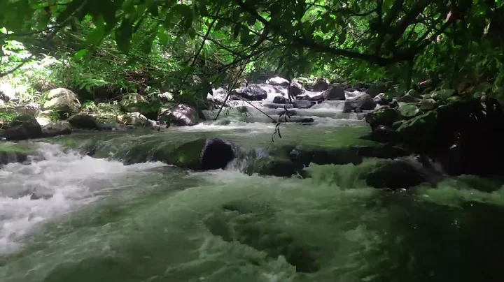 Lush Forest River Flowing Sound. Mountain River, Nature Sound, White Noise for Sleeping 10 hours. - DayDayNews