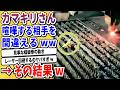 【動物解説】イキリ散らしカマキリさん、喧嘩する相手を間違えてしまうwwwww【なんj/2ch/X/面白スレ】