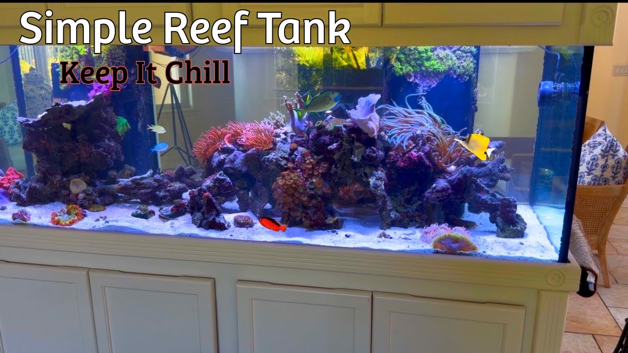 Простые аквариумы с морской водой