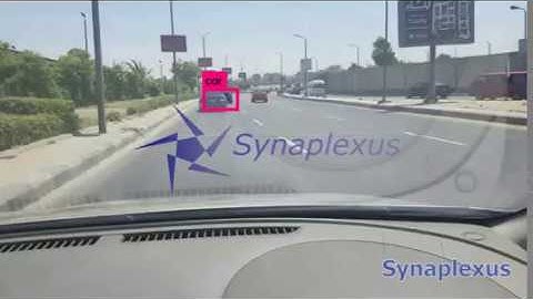 Synaplexus demonstrating object detection with Yolo
