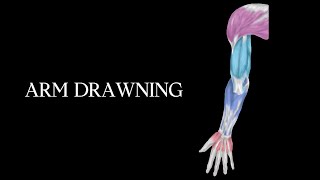 ARM DRAWNING