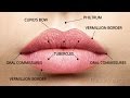 The Secret to Natural and Beautiful Lips - with Dr. Bouzoukis