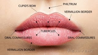 The Secret to Natural and Beautiful Lips - with Dr. Bouzoukis