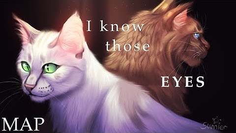 I know those eyes- TBC ashfur and whitewing warriors AMV map closed (2/22)