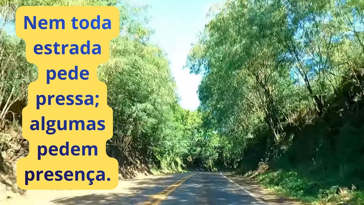 O Caminho que Ensina Quando Avançar é Mais Importante do que Acelerar