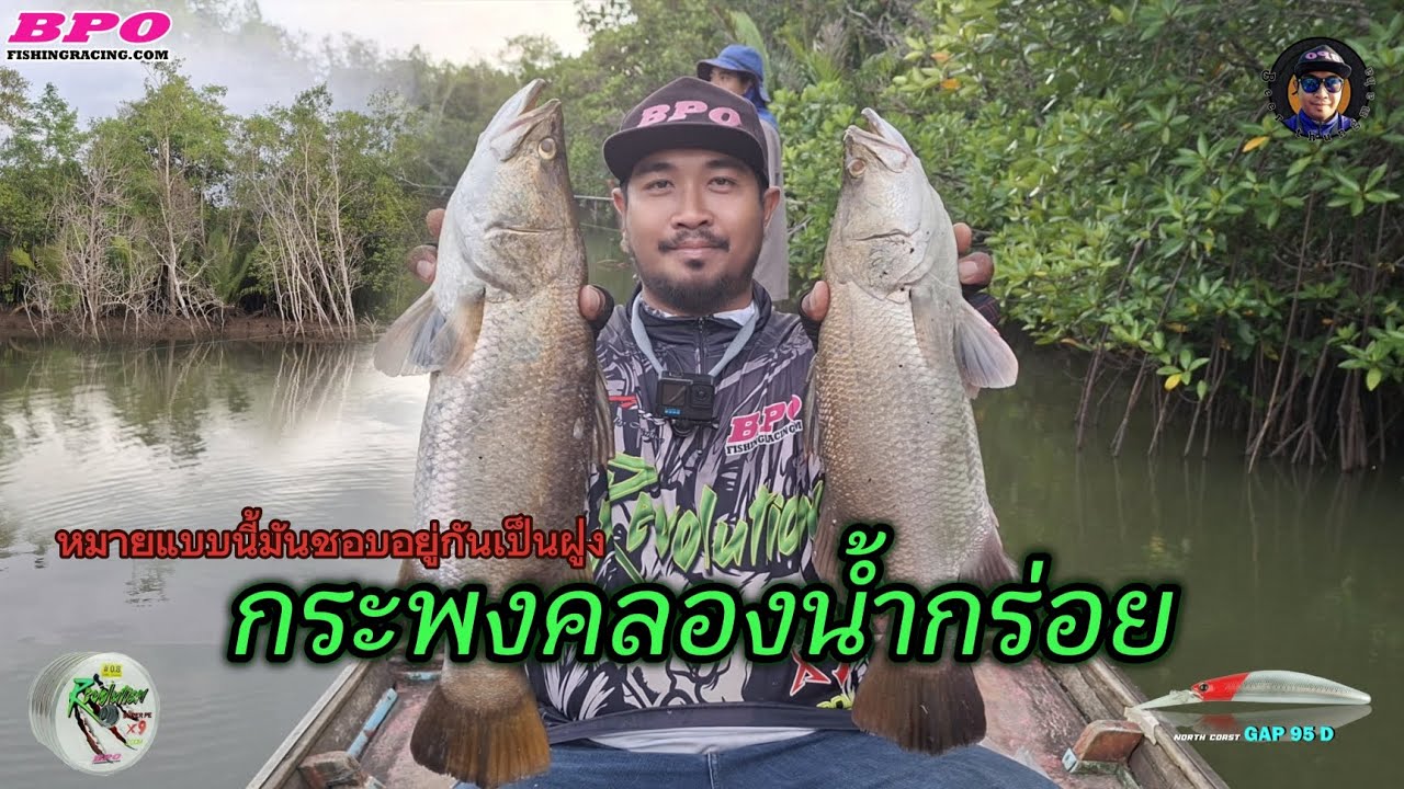 หมายแบบนี้มันชอบอยู่กันเป็นฝูง กระพงคลองน้ำกร่อย EP88 