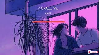 Tu Jaane Na Lofi Mix | Atif Aslam Lofi Mix Song || Indian Lofi Mix Song || Bollywood Lofi Mix Song |