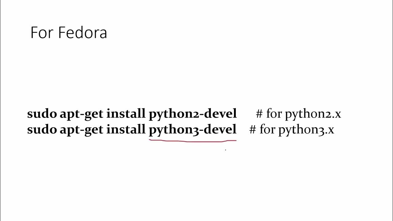File not found error python. File not found error python