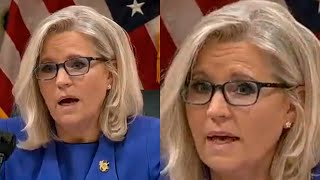 The Moment Your Words Destroyed You On Live TV