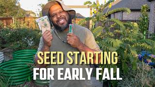 Fall Seed starts