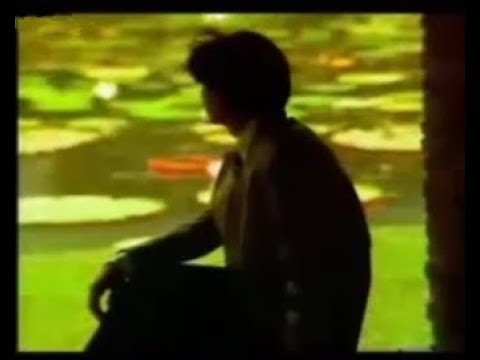 秋意中等我 劉德華 吳婉芳