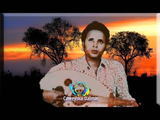 Xotinni qora tanli yigitlar sikishi haqidagi videoni tomosha qiling