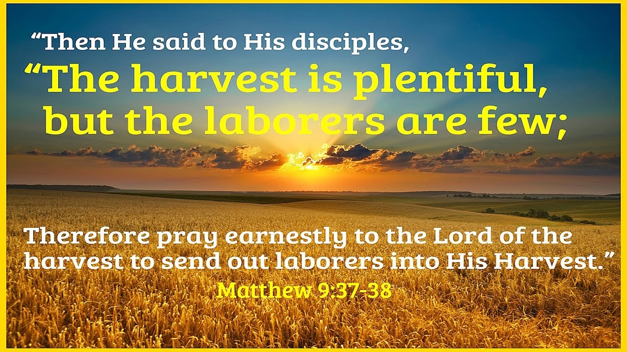 “Not Enough” Matthew 9:36-38 - YouTube