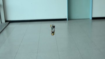 First controlled flight of an insect-like tailless Flapping-wing UAV (KUBeetle)