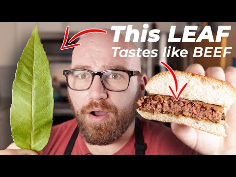 This Leaf Tastes like Beef so I Turned it into a Burger!