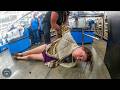 Karen Shoplifter Chaos at Walmart Friday Night | Karens Getting Arrested By Police