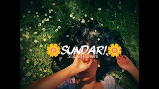Sundari ✨ Aesthetic Romantic Song Viral Love Vibes