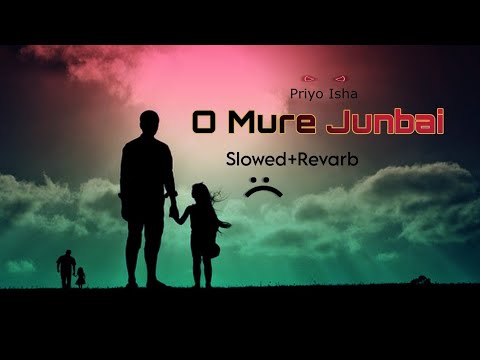 O Mure Junbai  SlowedRevarb  Assamese Lofi Song  Priyo Isha