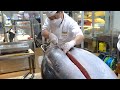 209kg Giant Tuna Cutting Show / 거대한 참치 해체 쇼 / 209公斤巨大鮪魚切割