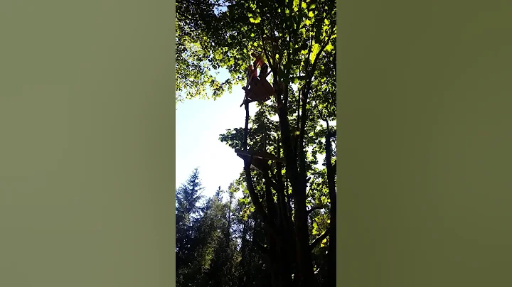 Andre Comer doing a Gainer at Lake Taps