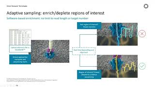 Human Somatic Variation Nanopore Date Sequencing Analaysi Using EPI2ME