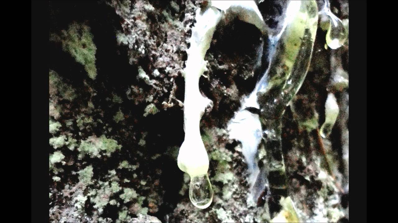 William O. Smith - Variants for solo clarinet (Liam Hockley, clarinet)